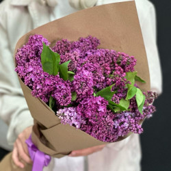 11 веток сиреневой сирени